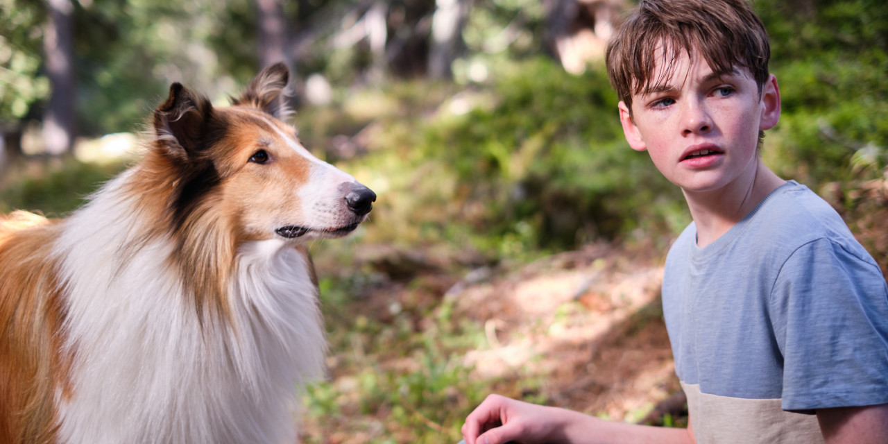Lassie - Ein neues Abenteuer: Hero