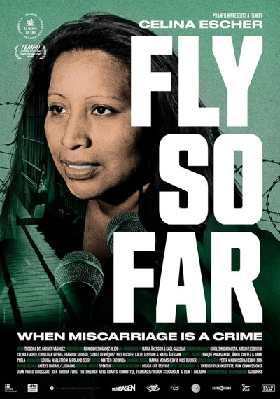 Fly So Far: Poster