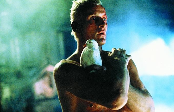 Blade Runner: Scene Image 2